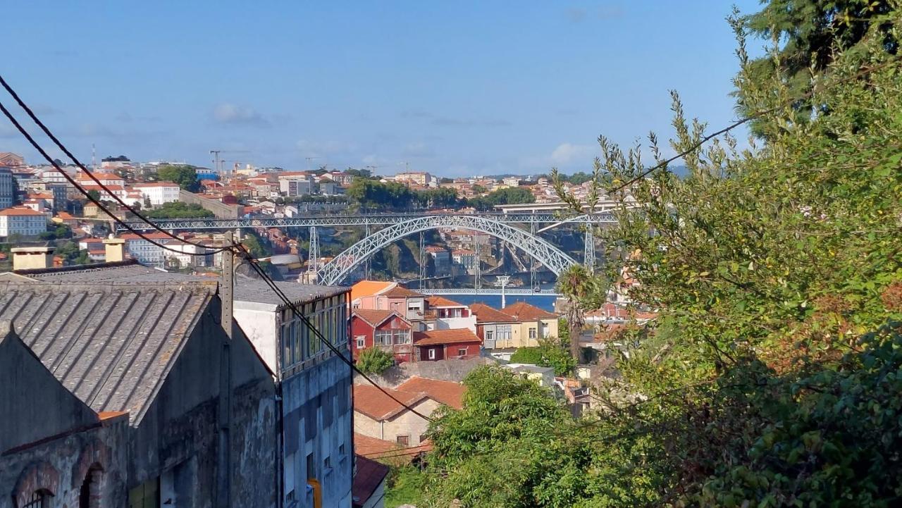 Vitoria Douro 2 Villa Vila Nova de Gaia Eksteriør billede